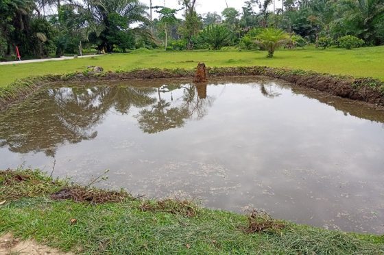 Les travaux de construction des étangs piscicoles a Missole 1